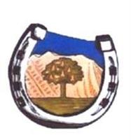 Logo für Reitergruppe Wals